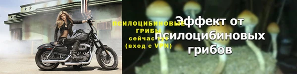 экстази Богородицк