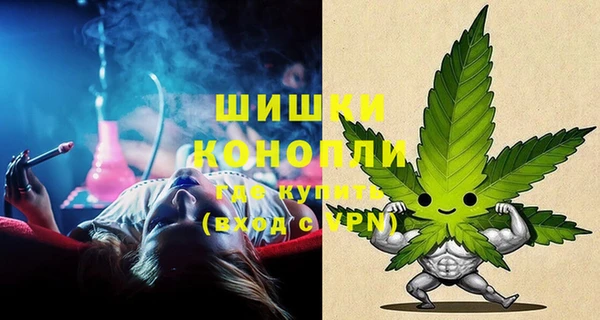 прущие грибы Киренск