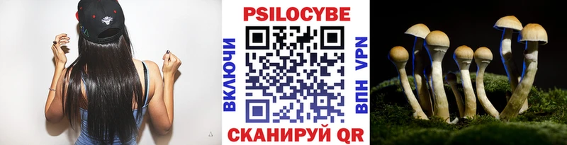 хочу наркоту  Бузулук  Галлюциногенные грибы Psilocybine cubensis 